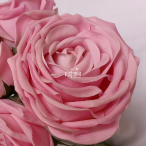 Rose Soft Premium schiuma rivestita in lattice eleganti fiori artificiali rosso reale vero tocco rosa fiore - Product Image 6