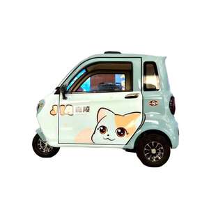 Customizable 3-Wheel Mini Electric Tricycle 2-Door <strong>Enclosed</strong> <strong>Trike</strong> with 1000W for Passengers Body Type Closed - Product Image 2