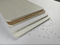 Panel Dinding Medis Anti Jamur Antibakteri dari Resin untuk Interior Rumah Perawatan Lansia