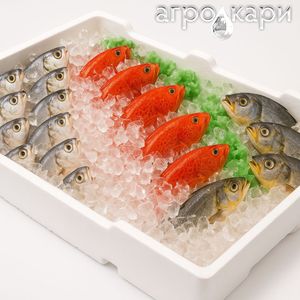 Thân thiện với môi cách điện <span class=keywords><strong>EPS</strong></span> Cá hộp nhiệt bọt mát cho hải sản lưu trữ cá đông lạnh Giao thông vận tải có thể tái chế xốp hộp cho - Product Image 5