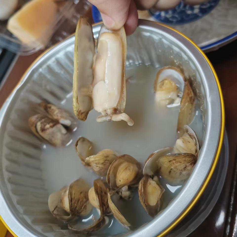 Portable Clam Gun - Razor Clam Importer - SS304, 750mm