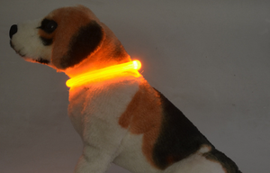 <span class=keywords><strong>Collar</strong></span> de seguridad para mascotas, luz Led brillante y recargable por USB, ajustable, para perros, color rojo, venta al por mayor - Product Image 6