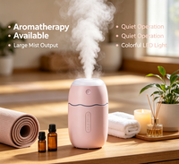 Humidificateur ultrasonique de bureau mini, alimentation USB, fonctionnement silencieux, diffuseur d'arômes, options multicolores, chambre, hôtel, fourni par l'usine