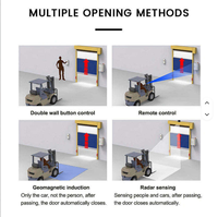 Porte rapide à enroulement en PVC à commande automatique, économie d'énergie, rideau souple, design tropical, couleur personnalisée, pour sous-sol