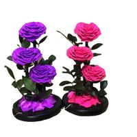 Festival créatif cadeau lampe à LED fleur éternelle dôme en verre amour en forme de Rose 7-8cm avec coffret cadeau ensemble saint valentin noël