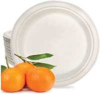 Ensemble d'assiettes en papier biodégradables et compostables de luxe, écologiques, jetables, pour le petit-déjeuner, taille personnalisée, pour le camping