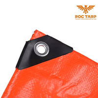 Fabricant de bâches en PE, couverture imperméable, résistante à l'eau et au soleil, bâche enduite unie