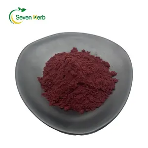 High Quality 100% Pure Organic Spray Dried Black Currant Powder Black Currant Fruit Powder For Beverages Drinks