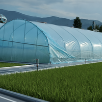 Serre tunnel agricole à simple travée en film plastique avec structure en acier galvanisé et film PE pour la culture de tomates et de laitues