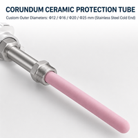 Sensor Suhu Tinggi Termokopel Platinum Rhodium Tipe S dengan Tabung Keramik Alumina, Berperingkat IP55, Dilengkapi WiFi, ODM OEM untuk Industri