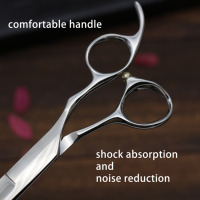 Beauté ciseaux à cheveux professionnel coiffeur ensemble de ciseaux sac argent personnalisé outils en acier PVC inoxydable Logo Style emballage pointu
