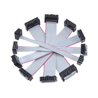 2,54mm Pitch FC 10Pin Cable de datos de cinta plana gris 30cm para DC3 IDC Macho Header