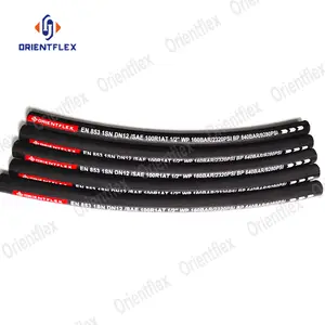 Heat beständig Oil Transfer Hydraulic Hose/High Pressure Hyd Hose Pipe