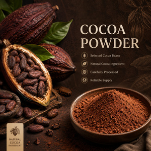 Cacao en Polvo Alcalinizado de Grado Alimenticio al Mejor Precio, Cacao en Polvo de Alta Calidad, Muestra Gratis Disponible - Product Image 4