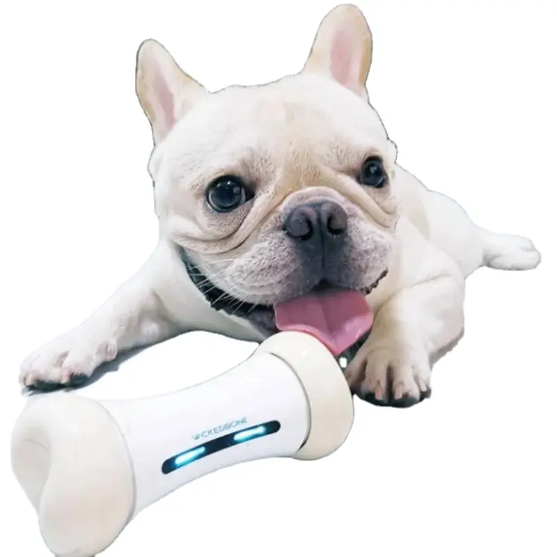 Fabrika fiyat kaliteli akıllı ve interaktif oyuncak köpek köpek oyuncak kemik