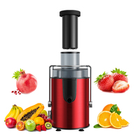 Nouvelle machine de filtre de jus de fruits machine d'extraction de jus de fruits machine de jus d'extracteur de gingembre