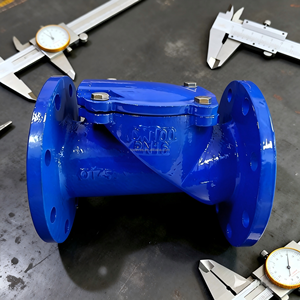 Valvola di ritegno in ghisa sferoidale industriale durevole PN16 QT450 GGG50 con rivestimento epossidico blu per tubazioni di approvvigionamento idrico - Product Image 3