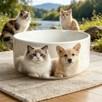 Gamelle en céramique élégante pour animaux de compagnie, en porcelaine, 15 cm, 18 cm, lourde, antidérapante, blanche, pour chien et chat