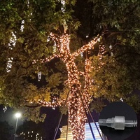 Guirlande lumineuse LED colorée étanche 24V basse tension effet ciel étoilé pour centres commerciaux et festivals