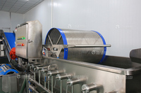 Fengxiang merk 304 roestvrijstalen verse salade verwerkingslijn 5000kg/u automatische groente- en fruitwas- en schilmachine