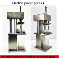 Handmatige sapcentrifuge voor fruit, verticaal, 220V, voor citroenen en sinaasappels