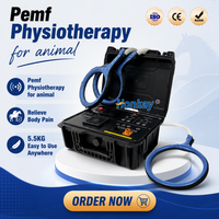 Nouvel appareil de thérapie PEMF à écran tactile numérique pour la récupération des chevaux et des chiens, machine PEMF pour clinique équine