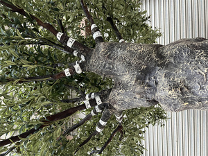 Cây ô liu <span class=keywords><strong>Bonsai</strong></span> phong cách nhân tạo trong nhà/ngoài trời sợi thủy tinh cây trong chậu lớn ngoài trời trong nhà arbre Olivier - Product Image 5