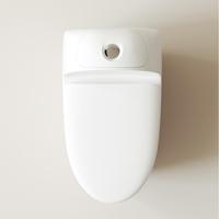 Offre Spéciale – WC Monobloc en Céramique Blanc à Poser au Sol, Design Moderne et Simple, avec Siphon en S et Qualité Supérieure