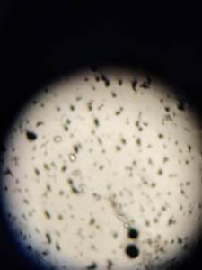 실험실 장비 거꾸로 광학 현미경 금속 검사 다양한 분석 20W 1920x1080 카메라 해상도 산업 - Product Image 6