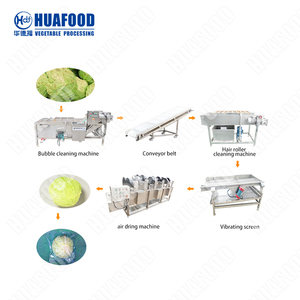 La linea di lavorazione della frutta e della verdura completamente automatica include la selezione del taglio asciugatura per lavaggio con componenti del nucleo della pompa ad ingranaggi - Product Image 2