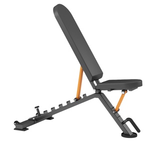 Chinesischer Direktverkauf Reduzierter Preis Expert Fitness Supply Super Bank <span class=keywords><strong>F99</strong></span> für Bodybuilding - Product Image 1