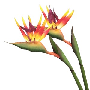 Fleur artificielle Oiseau de paradis en plastique PVC/PU, bouquet pour décoration intérieure et accessoire de photographie, modèle Château des rêves - Product Image 5