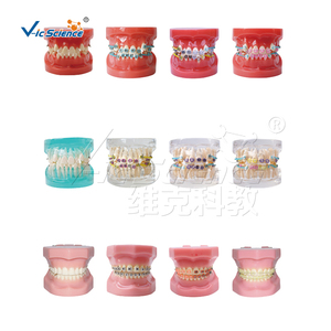 28 pz staffa artificiale tutta <span class=keywords><strong>Ortho</strong></span> ceramica modello dente medicale denti Nissin modello - Product Image 6