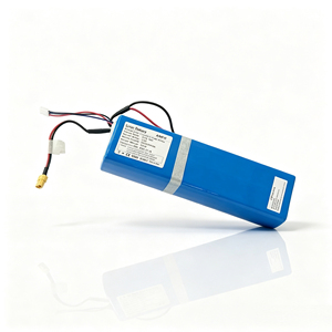 Batería de Estado Sólido ANPS 18650 Recargable de 24V 8.8AH 7S4P NMC con 1200 Ciclos para Scooters, Hoverboards y Patinetas - Product Image 1