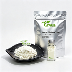 Péptido <span class=keywords><strong>de</strong></span> Agrocybe Cylindracea <span class=keywords><strong>de</strong></span> Bajo Peso Molecular, Oligopéptido <span class=keywords><strong>de</strong></span> Hongo <span class=keywords><strong>de</strong></span> Té, Antioxidante, Materia Prima para Cosméticos y Suplementos para la Salud - Product Image 5