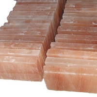 Plaques de sel rose de l'Himalaya, provenant de la montagne de l'Himalaya, pour sauna, service de nourriture