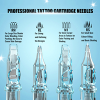 Cartouches d'aiguilles de tatouage permanentes en acier inoxydable 316 de la marque Yilong pour l'art corporel, longueur 3,5 mm, 100 % stérilisées au gaz EO, 0,35 mm
