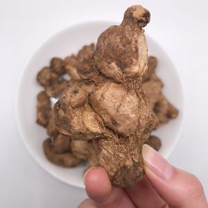 โรงงานเสี่ยวอี๋ฉาง ขายตรงสมุนไพรจีนโบราณ ขิงแห้ง (Zingiberis Rhizoma Praeparatum) ผ่านกระบวนการอบแห้ง - Product Image 2