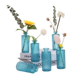 Jarrón de cristal transparente azul estilo Ins, alivio francés, decoración para el hogar, sala de estar, arreglo floral, jarrón hidropónico de escritorio - Product Image 2