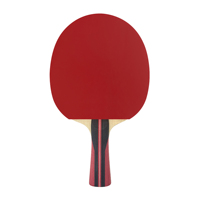 Raquette de tennis de table Limba Surface Carbon Blade avec logo personnalisé