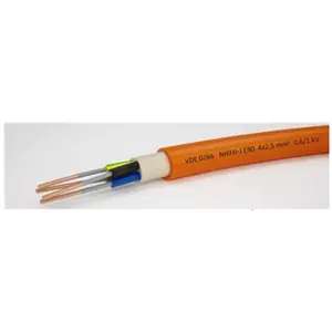 Israel best selling NHXH-J fire resistant power cable 0.6/1kv E90 RE Conductor type 4x10mm2 factory price