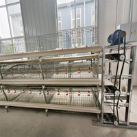 Système de cage à poulet professionnel en forme de H pour élevage de poulets de chair