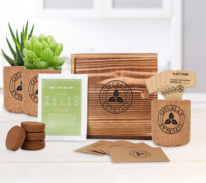 <span class=keywords><strong>Kit</strong></span> de Inicio para Cultivo de Bonsái para Principiantes - Jardinería Interior con Plantas Vivas - Kits de Manualidades para Adultos - Regalos Únicos de Navidad y Cumpleaños - Product Image 6