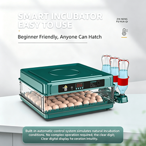 Incubateur d'œufs automatique portable, capacité de 12 œufs, machine à couver la volaille avec retournement automatique pour usage domestique - Product Image 5