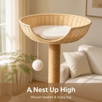 Arbre à chat en bois compact en gros, tour à chat gain de place avec maisonnette pour chat, lit capsule spatiale et griffoir