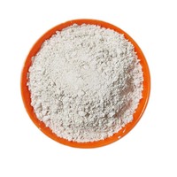 Hydroxyde de calcium de qualité industrielle Poudre de chaux Ca(OH)2 Hydroxyde de calcium pour le traitement de l'eau Chaux calcinée pour la construction routière