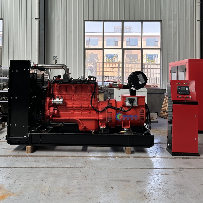 300kw Methane Natural Gas LPG Syngas