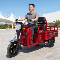 Tricycle électrique de transport 60V, 351 à 500W, trois roues, chariot utilitaire, autonomie minimale 90 km, charge utile 400 kg