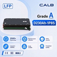 Module CALB D230AH-1P8S 25.6V 230Ah LiFePO4 5.88kWh Seulement 36.2kg 162Wh/kg Haute énergie Conception légère