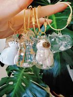 Boîte de rangement pour poils d'animaux en acrylique, pendentif capsule pour poils de chat, urnes commémoratives, collection de souvenirs, bouteille sensorielle, ornement commémoratif pour chat